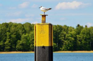 Abstellplatz für Boote am Werbellinsee