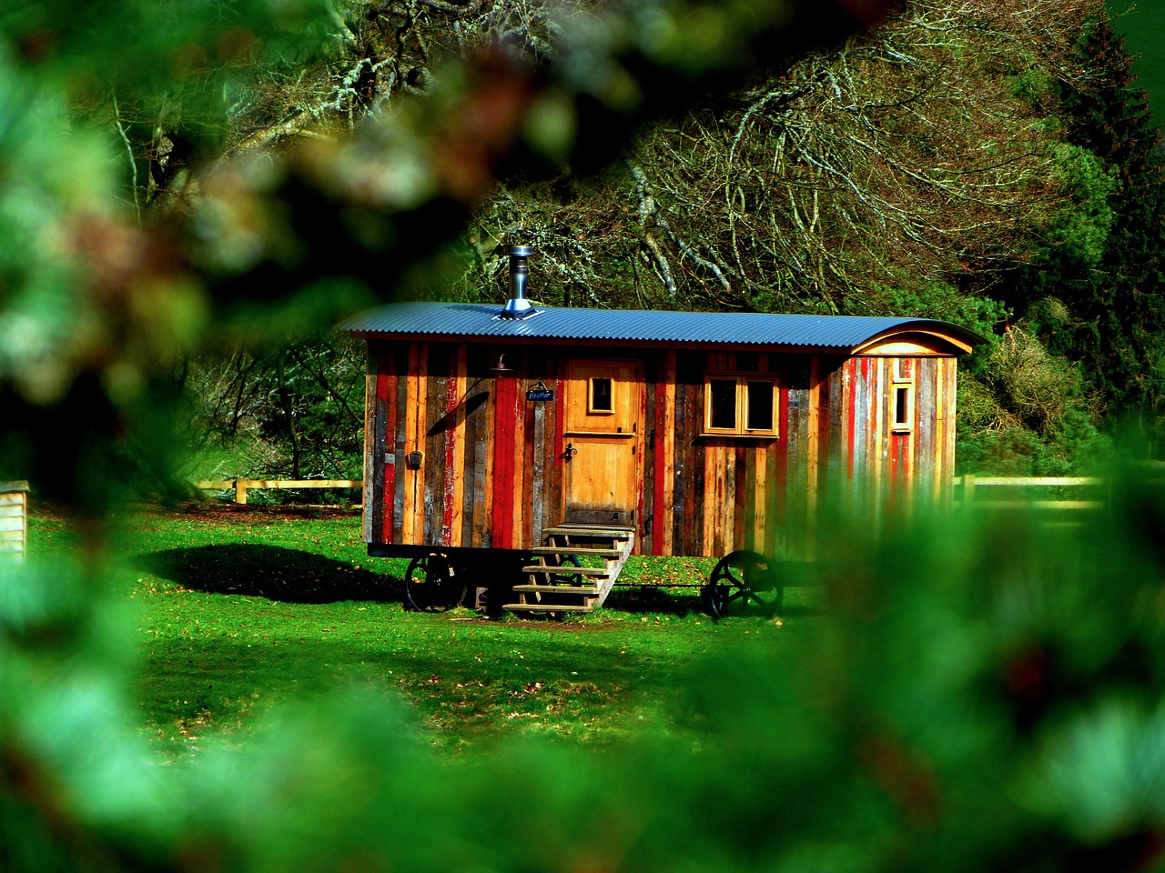 Ein speziell gebautes Tiny House am Waldrand